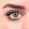 لنز شماره 1 مدل Grayness رویال ویژن